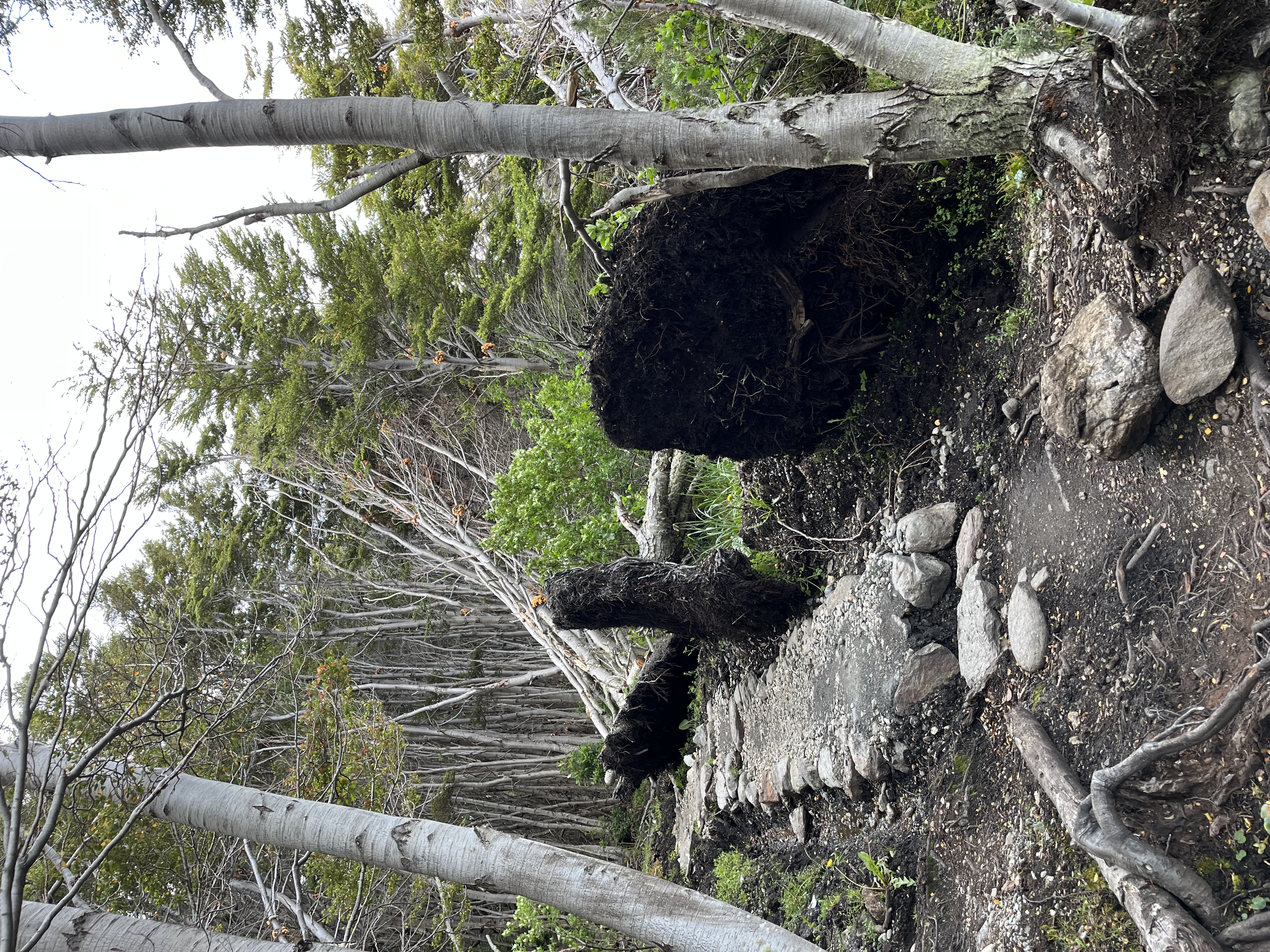 traerne-senda-costera